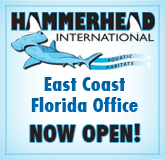 New Office Opens